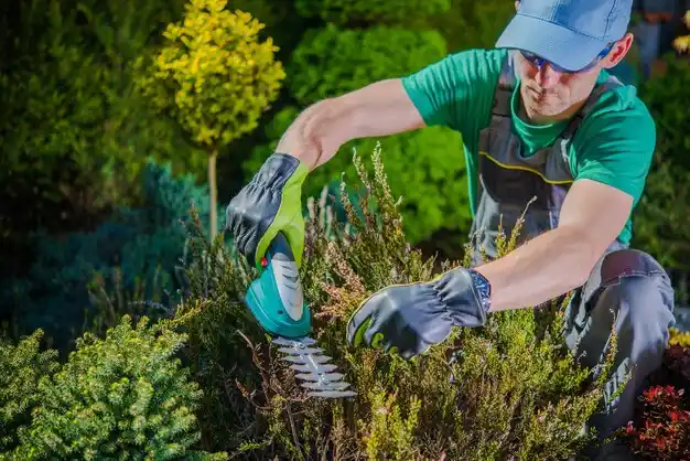 landscaping services Belfast